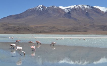 Located in southwest Bolivia
