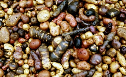About Peru culture