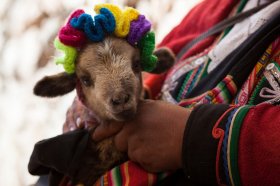 5 Sites you need to See In Cusco