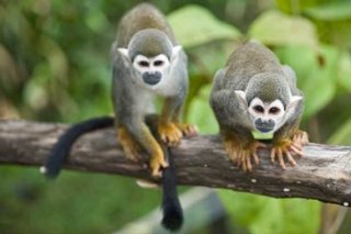 8 information about Peru you most likely Didn't Know2