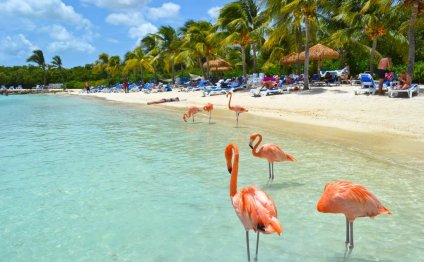 Cheap tickets to Peru from Miami