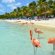 Cheap tickets to Peru from Miami