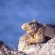 Peru and Galapagos Holidays