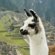 Peru Travel Packages reviews