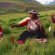 Tours of Peru and Galapagos