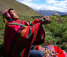 PERU NEW YEAR REFUGE • DECEMBER 2016