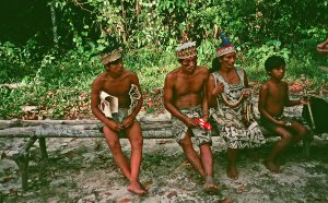 Amazon Jungle, Peru