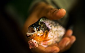 Best season to visit Peru