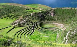 Llama Travel Peru