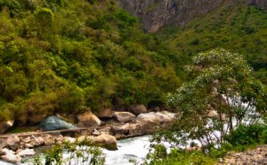 Trains from Cusco to Machu Picchu