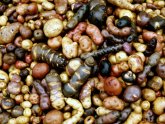 About Peru culture