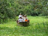 Amazon River Tours Peru
