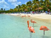 Cheap tickets to Peru from Miami