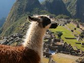 Machu Picchu best Tours