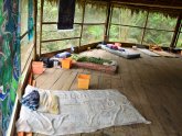 Peru Ayahuasca Tour