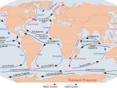 Peru Humboldt Current