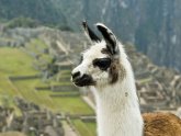 Peru Travel Packages reviews