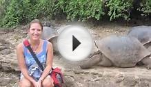 Explorations Tours - The Galapagos Islands w/ Machu Picchu
