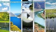 Freshwater Biomes: Climate, Locations, Plants & Animals