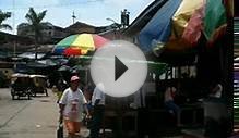 Ghetto 3 toed Sloth tour Amazon Iquitos Peru