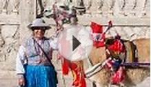 Llama at Arequipa, Peru jigsaw puzzle