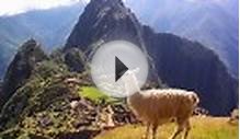 Llama At Machu Picchu, Peru jigsaw puzzle