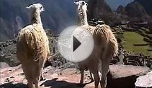 The legendary lost city of Machu Picchu Cuzco Peru