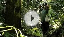 Tours Manu National Park - Amazon Rainforest Tours Peru