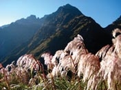 Well worn boots and waterproof equipment for Inca Trail Trek